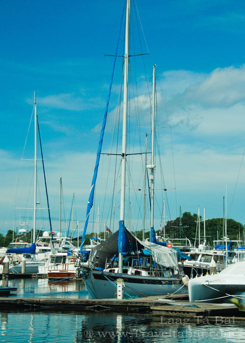 subic bay yacht club yacht rental