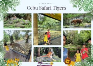 Cebu Safari Animals, Cebu Safari Zoo, Guide to Cebu Safari Zoo, How to go to Cebu Safari, Direction of Cebu Safari, Cebu Safari, Visit Cebu Safari, Best time to visit Cebu Safari